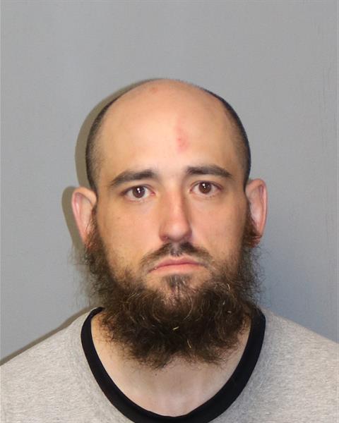 Booking photo - TURPIN, DEREK RIAN - Dublin, Virginia