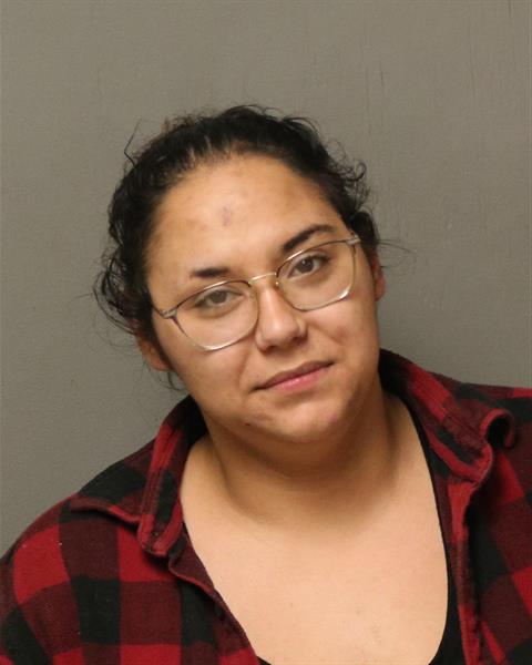 Booking photo - CHRISTINA BIANCA VILLALOBOS - Dublin, Virginia