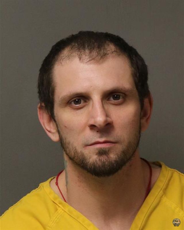 Booking photo of WAGNER, NATHAN WILLARD