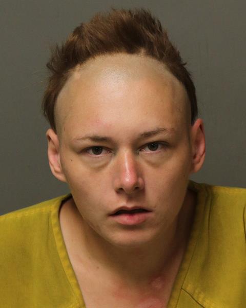 Booking photo - MICHAELA DAWN WALL - Dublin, Virginia