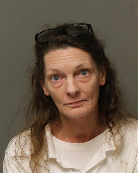 Booking photo - SHANNON SCOTT WATKINS - Dublin, Virginia