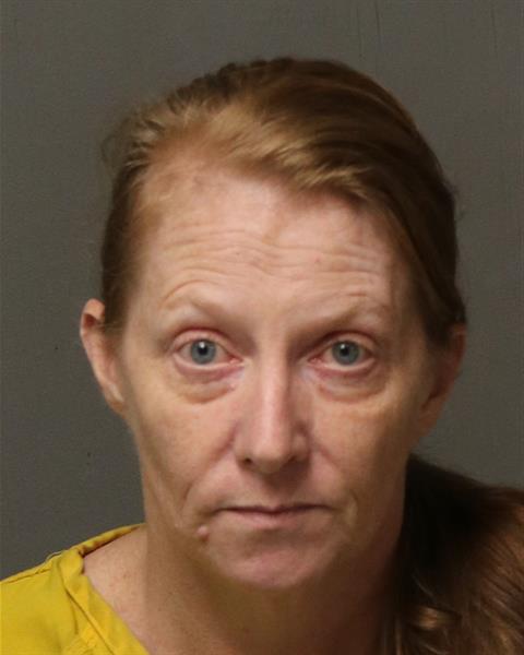 Booking photo - WENDY MARIE WATSON - Dublin, Virginia