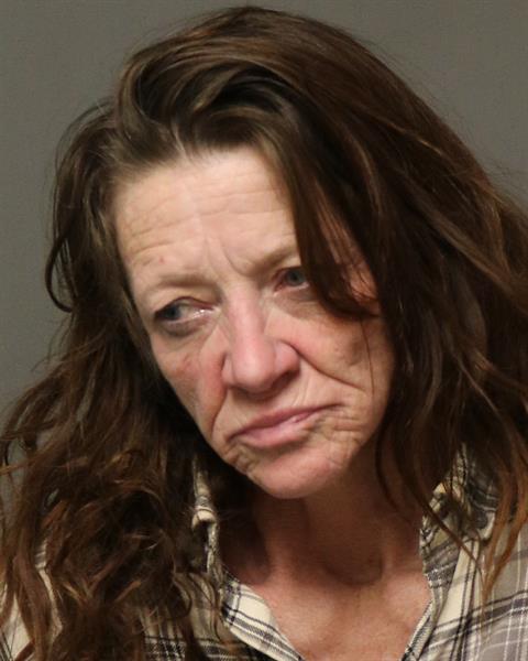 Booking photo - BARBARA RUTH WHITAKER - Dublin, Virginia