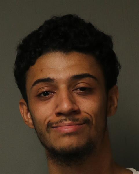 Booking photo - IAN DRAKE WHITED - Dublin, Virginia